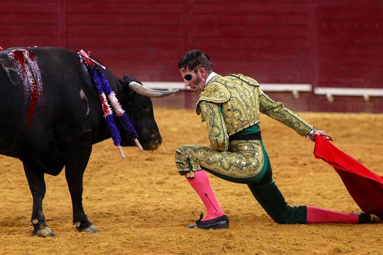 Na temporada 2016, Padilla foi um dos triunfadores do Campo Pequeno, em Lisboa