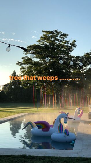 Feliz aniversário! Gémeas de Madonna completam 6 anos de vida