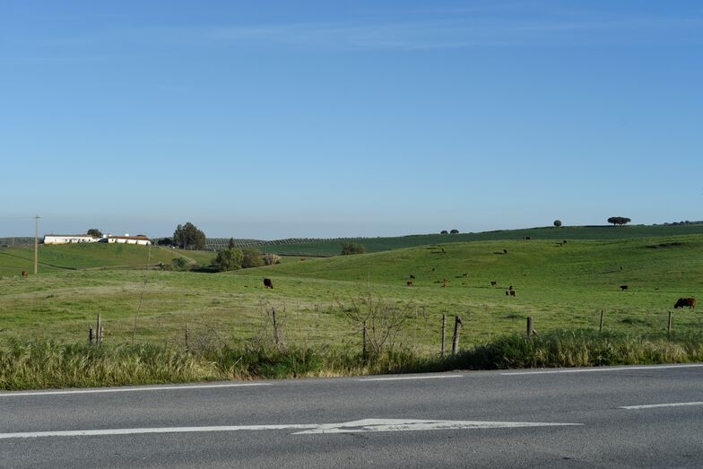 Agricultor de Elvas na verdade não é dono de nada
