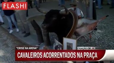 Toureiros acorrentam-se no Campo Pequeno em protesto contra proibição de touradas