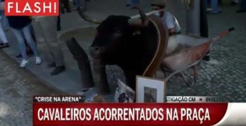 Toureiros acorrentam-se no Campo Pequeno em protesto contra proibição de touradas